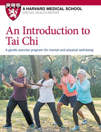 Tai Chi, Harvard Approval of Tai Chi, Stephen Allerton blogger,