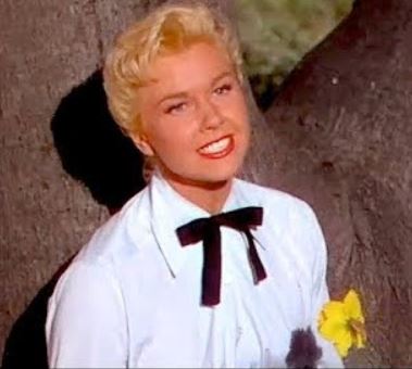 Doris Day Secret Love by Stephen Allerton blogger